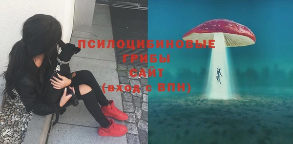 PSILOCYBIN Балабаново