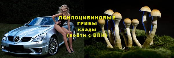 гидра Баксан