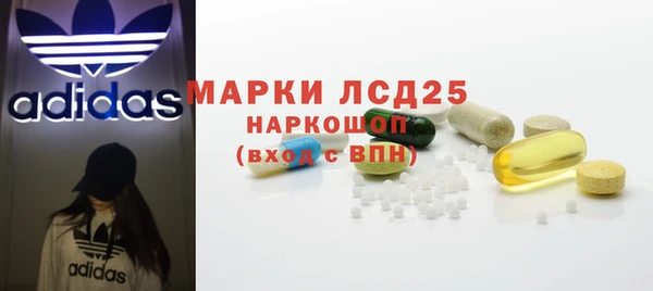 PSILOCYBIN Балабаново