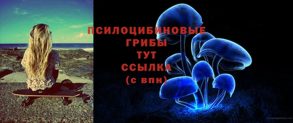 PSILOCYBIN Балабаново