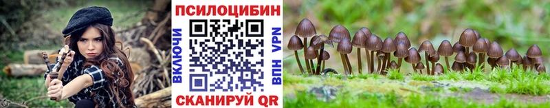 Купить где  Певек  Галлюциногенные грибы мицелий 